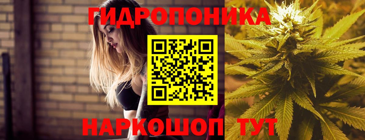 Сарапул  Канабис конопля  Марихуана марихуана  Канабис сатива  Вход с VPN 